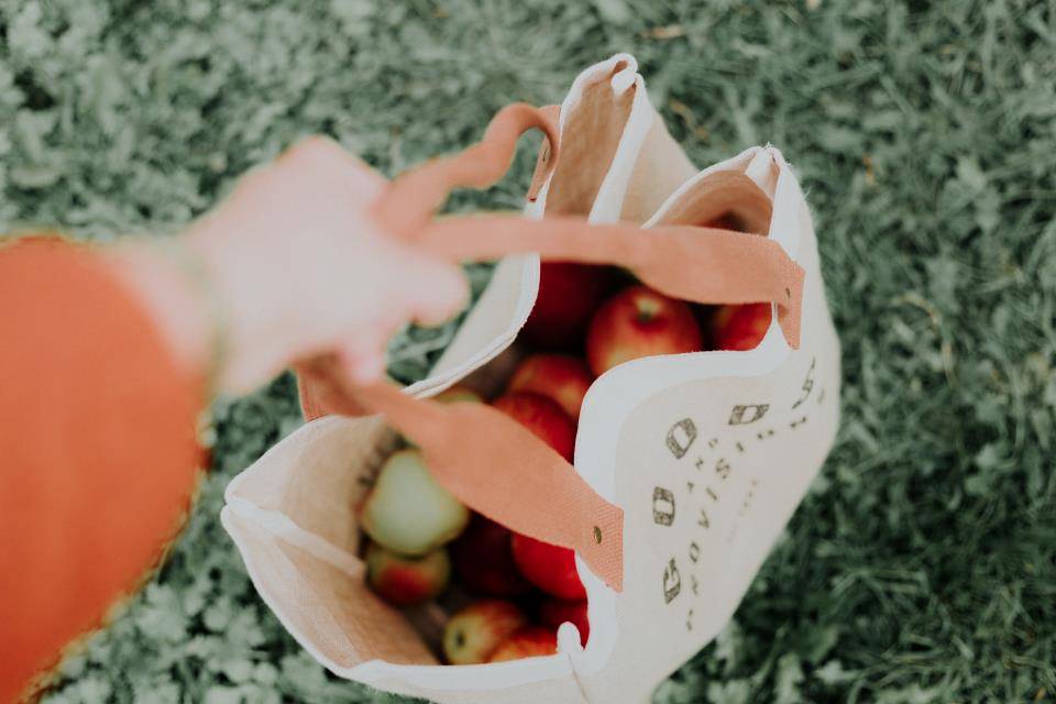 Food shopping - apples in a bag