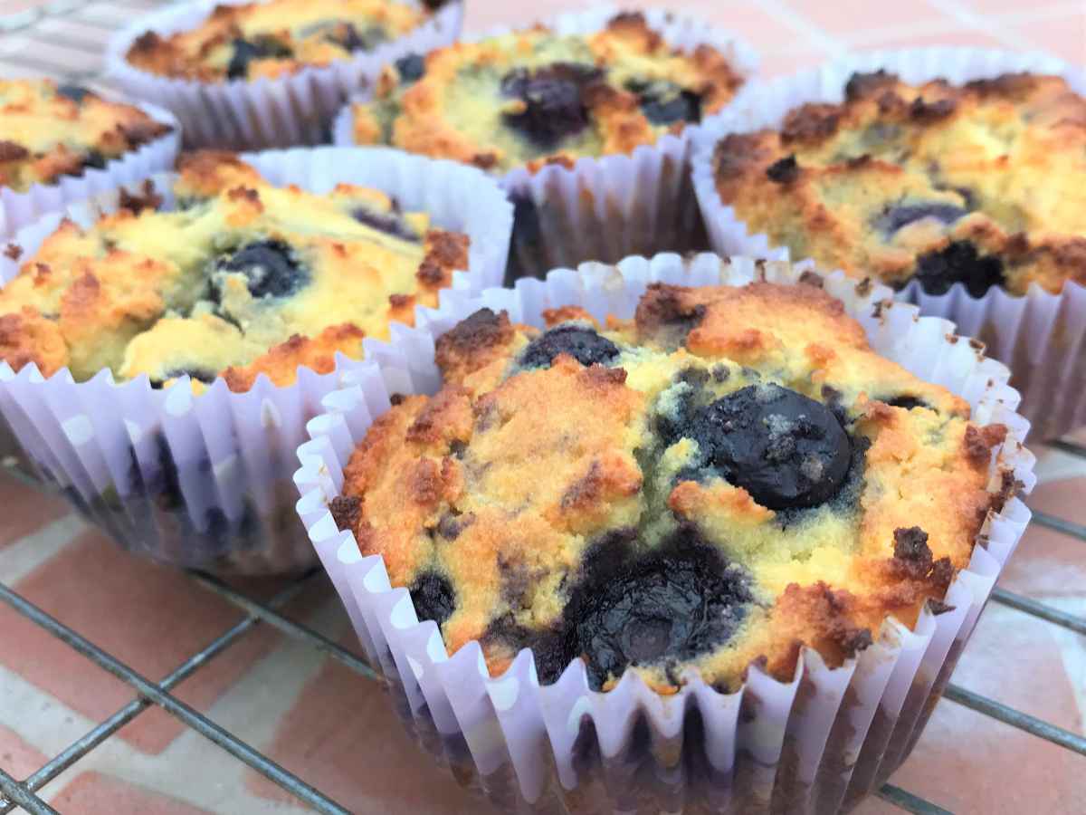 Coconut flour blueberry muffins