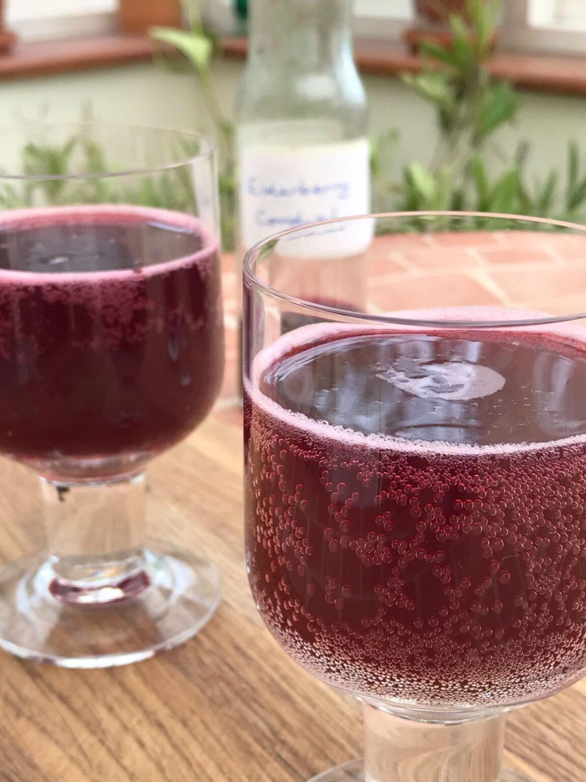 Elderberry Cordial Cinnamon and Kale