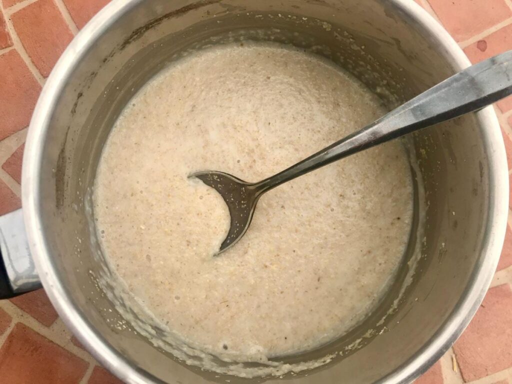 Oat Bran Porridge Cinnamon and Kale