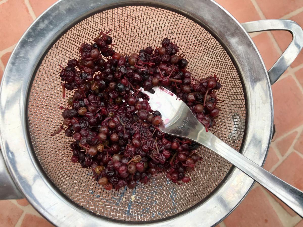 Squeezing cooked elderberries through sieve