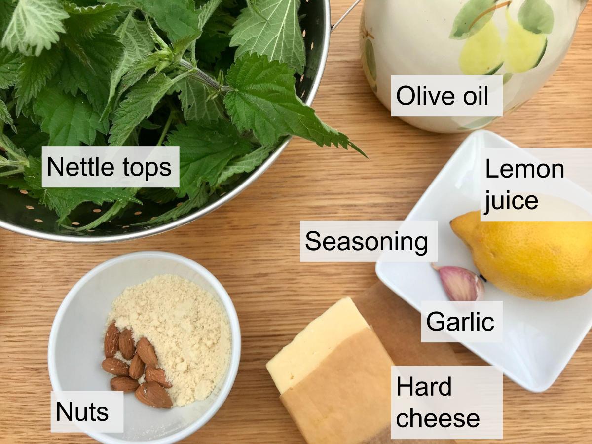 Ingredients for nettle pesto