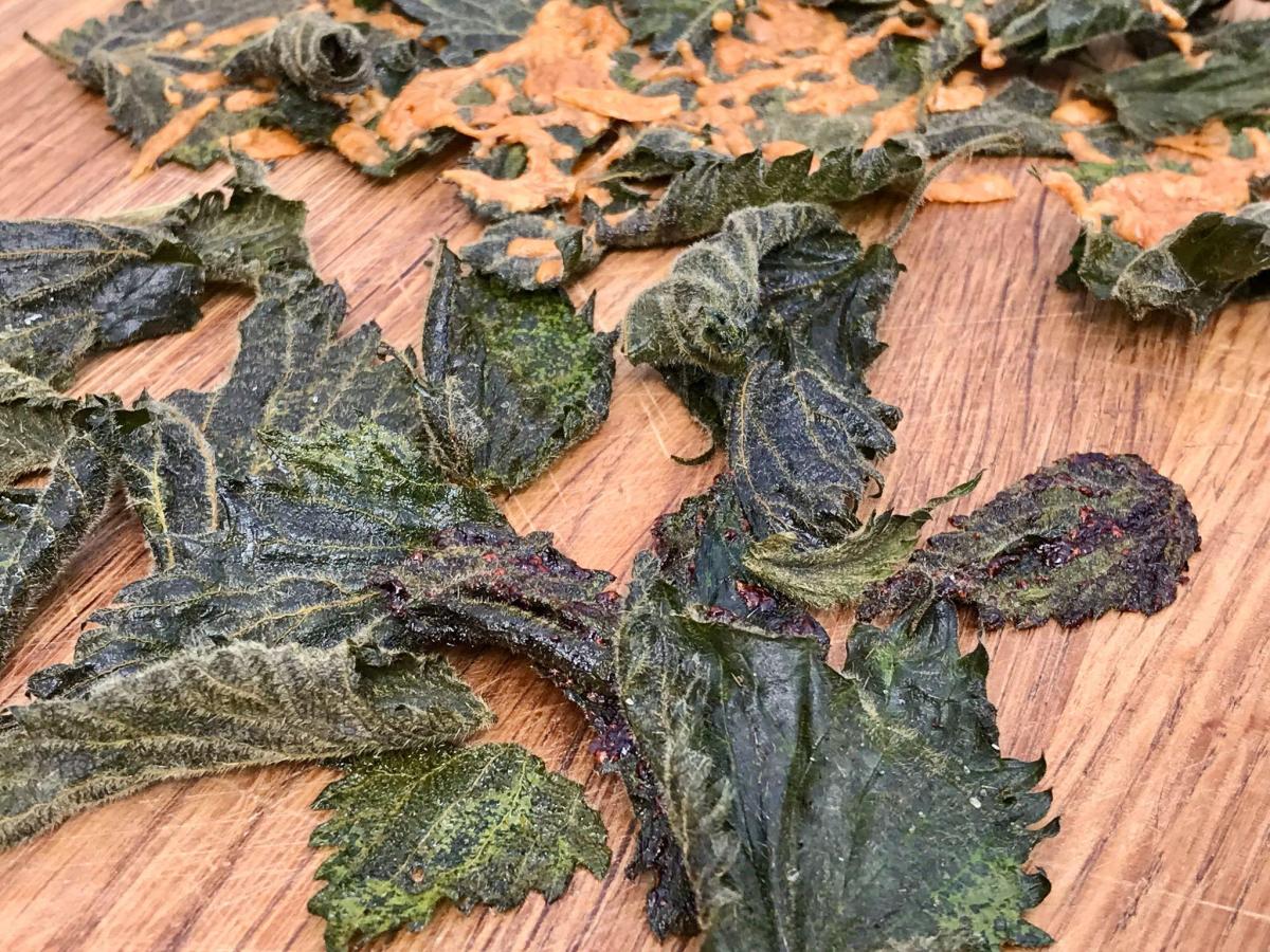 Nettle crisps with cheese and Marmite