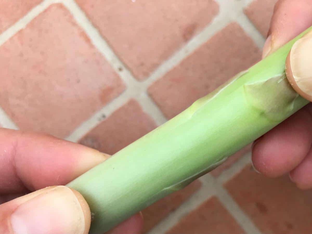 Snap ends off asparagus