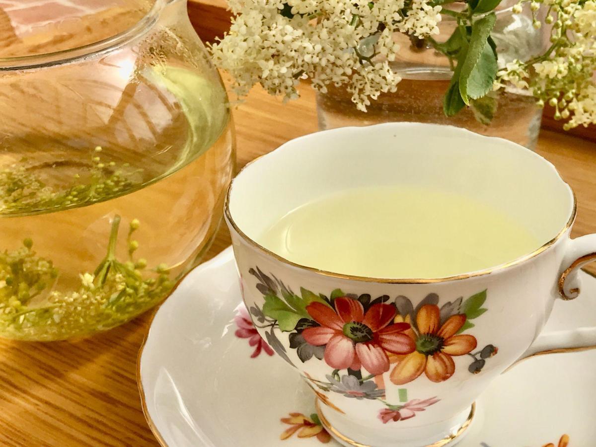 Elderflower tea with teapot