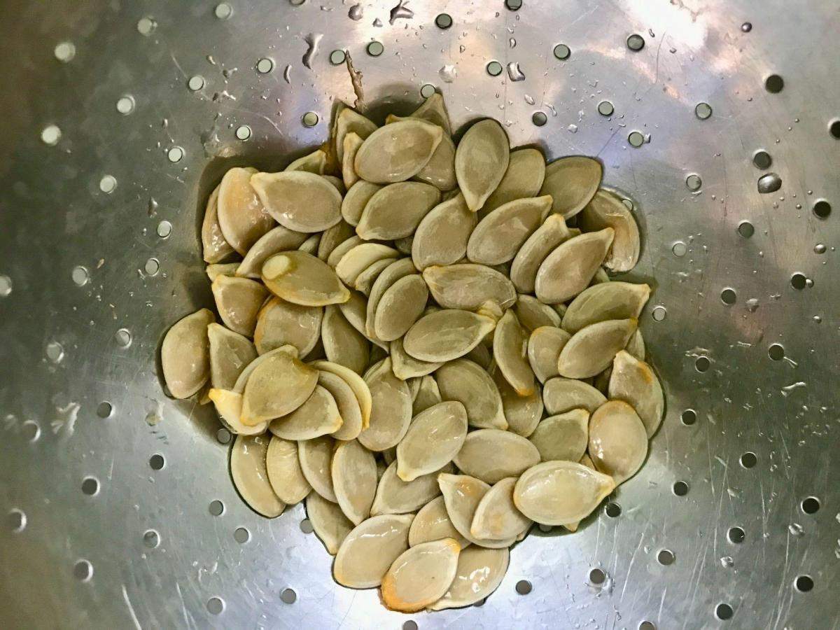 Rinsing pumpkin seeds in colander.