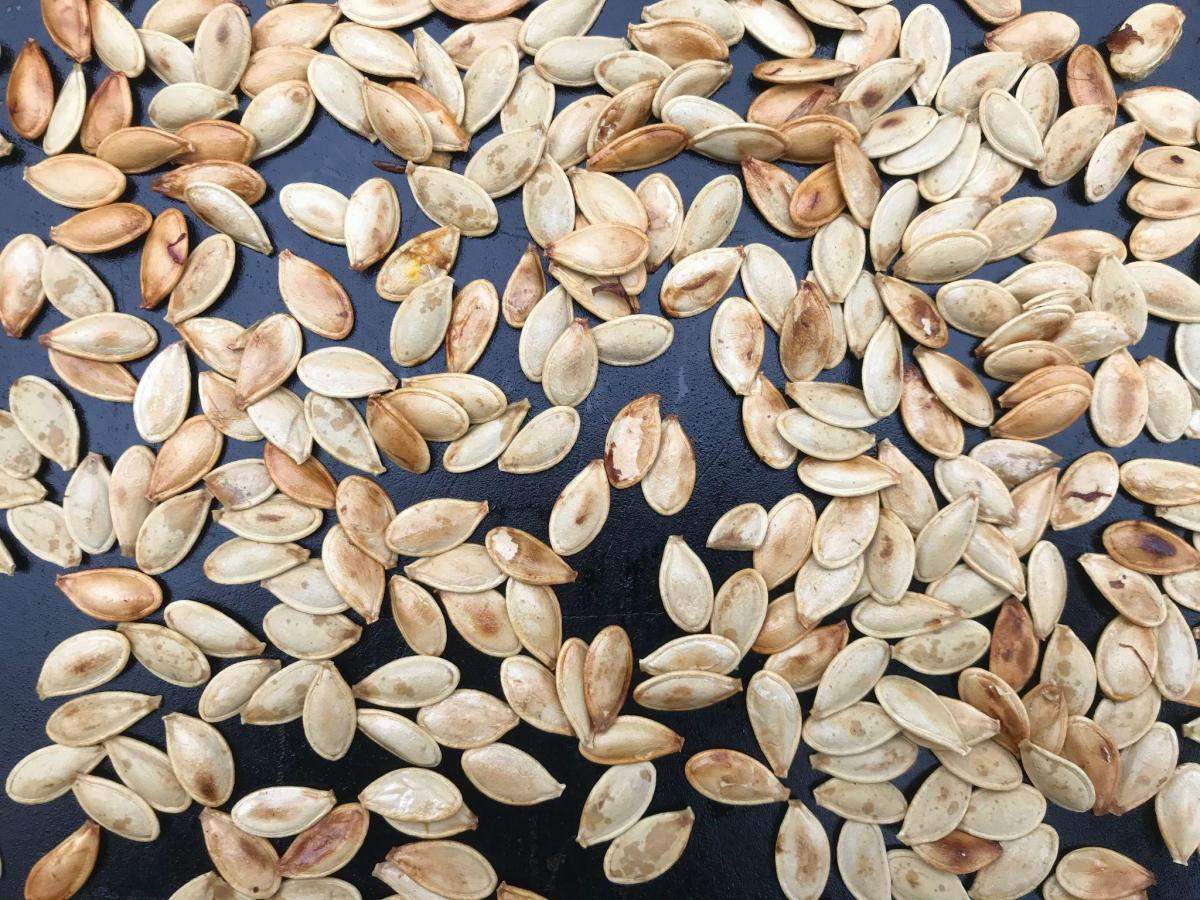 Roast pumpkin seeds on baking tray