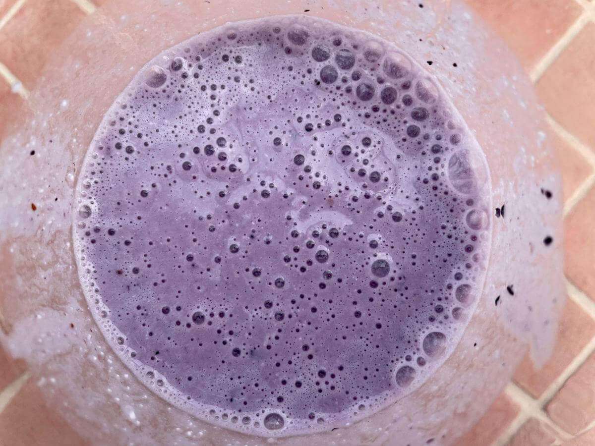 Blueberry cottage cheese smoothie in jug.