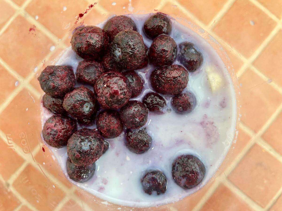 Frozen blueberries, milk and cottage cheese in jug.