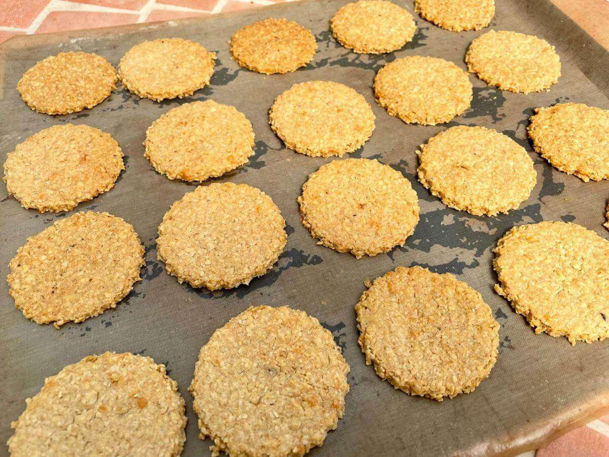 Cooked cheesy oat biscuits.