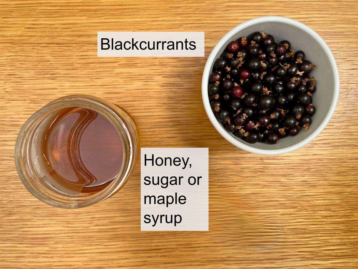 Blackcurrants and jar of honey.