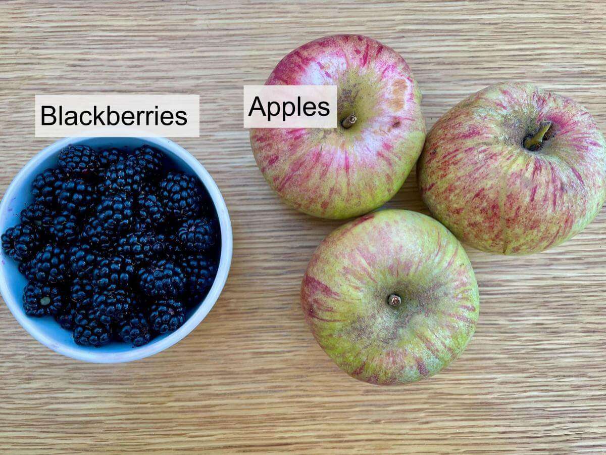 Blackberries and 3 cooking apples.