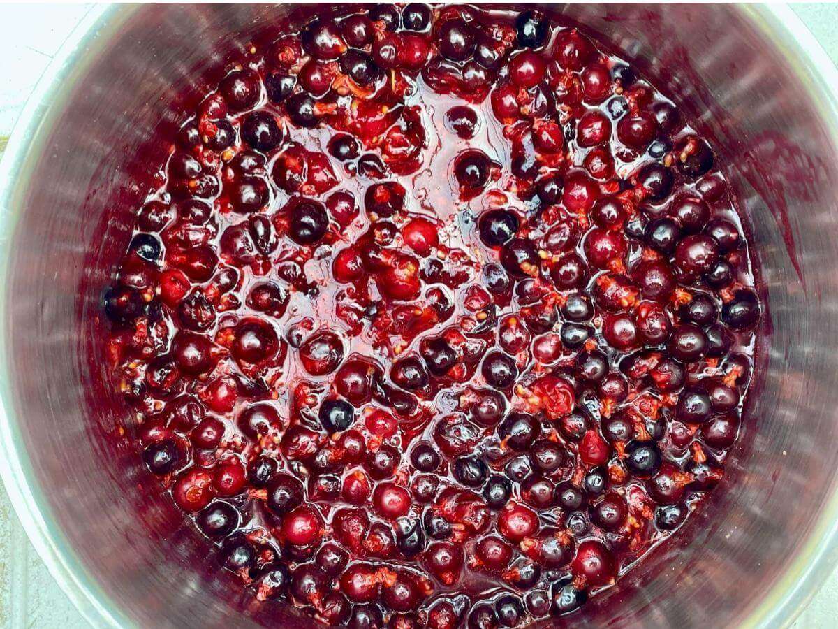 Cooked blackcurrants in pan.