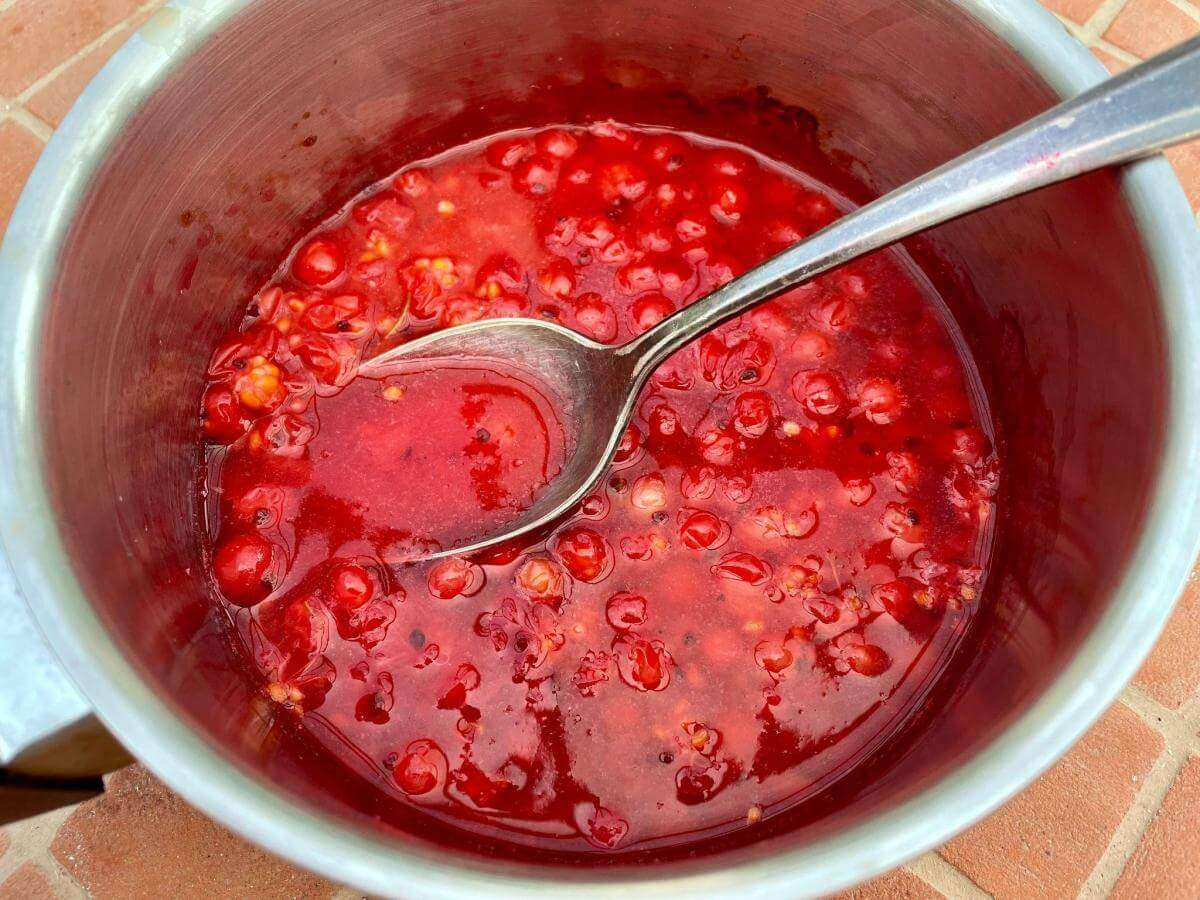 Redcurrants and water in pan.