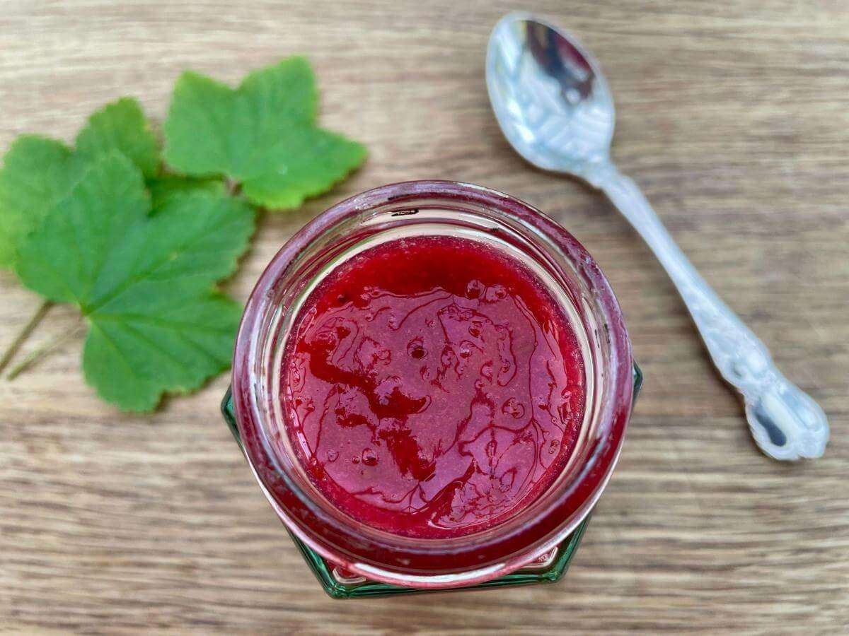 Redcurrant coulis in jar.