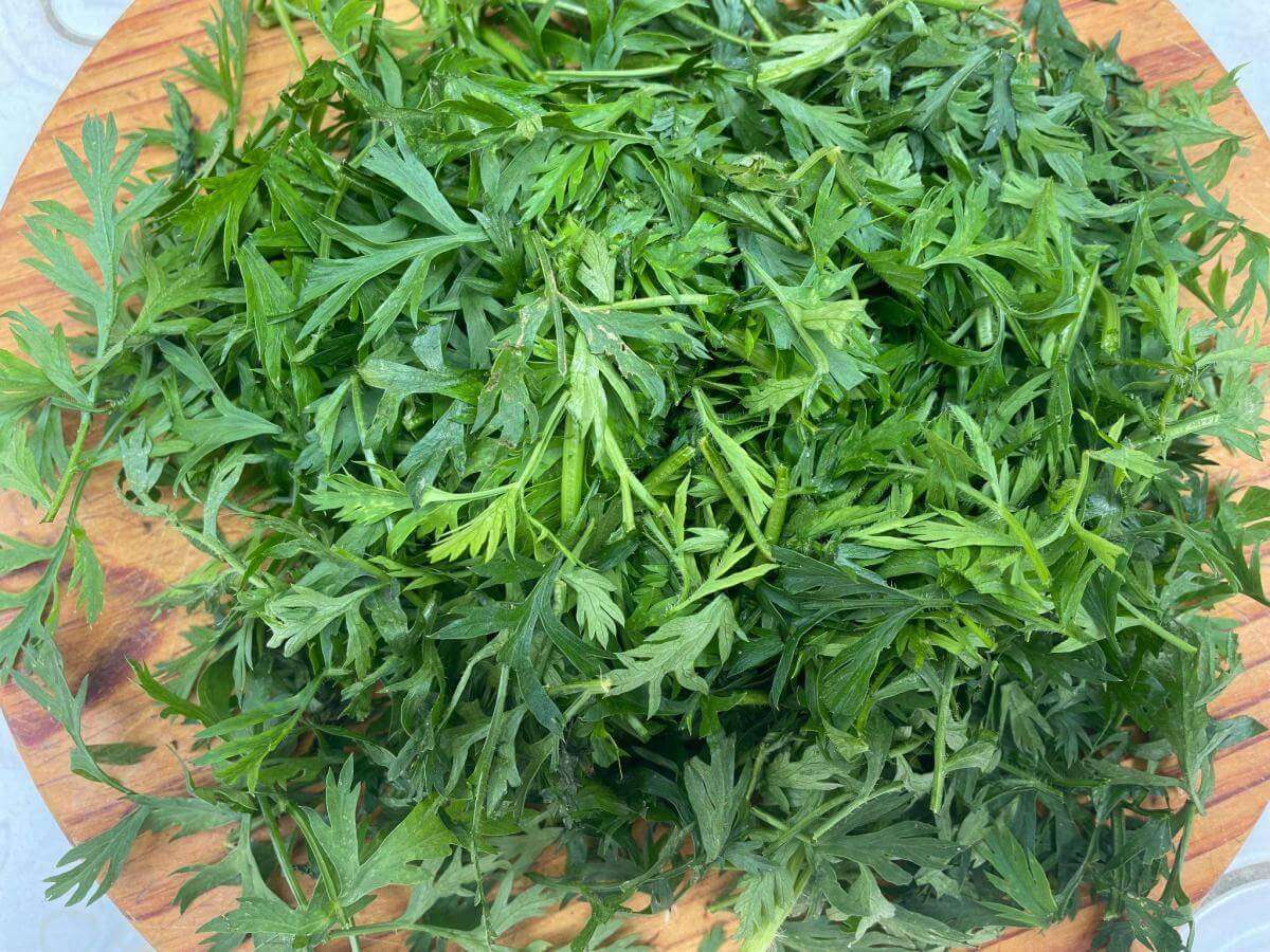 Chopped carrot tops.