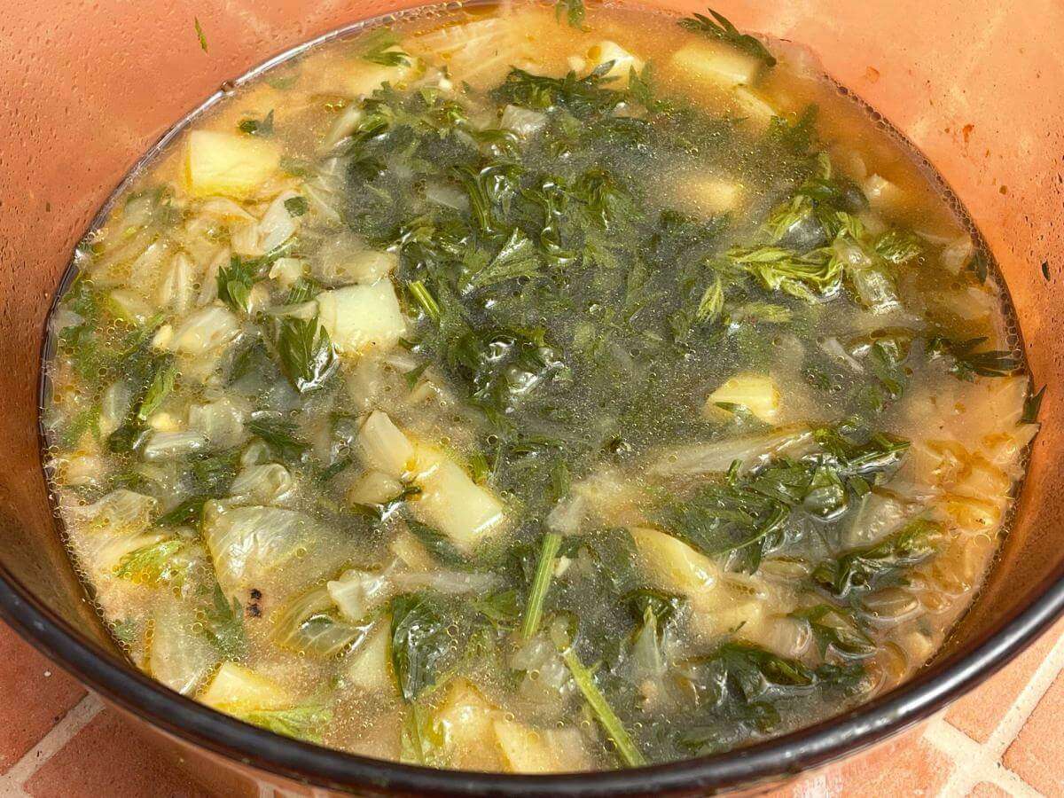 Soup base and carrot tops in pan.